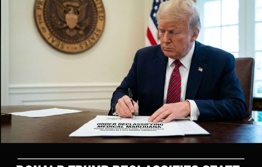 Donald Trump Reclassifies State-Licensed Medical Marijuana as a Less Harmful Substance