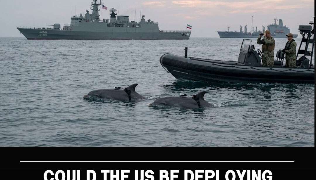 Military Dolphins in Hormuz