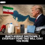 Iran's Hormuz Shutdown